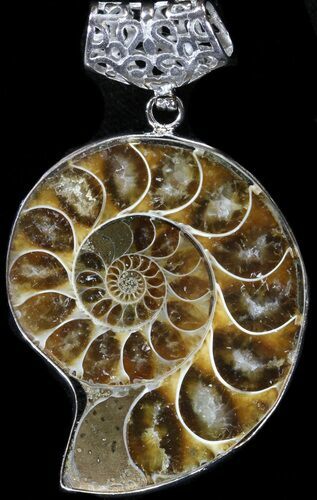 Fossil Ammonite Pendant - Million Years Old #37940